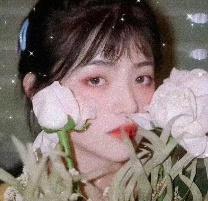 伴我情深